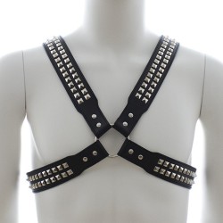 harness-with-two-rows-o-shiny-pyramid-studs.jpg